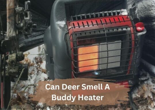 Can Deer Smell A Buddy Heater