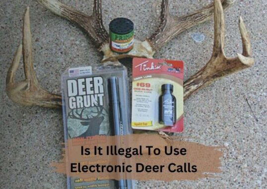 Is It Illegal To Use Electronic Deer Calls