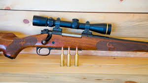  .270 Winchester: 