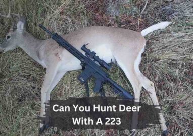 Can You Hunt Deer With A 223