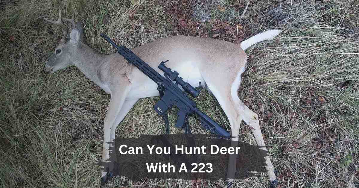 Can You Hunt Deer With A 223